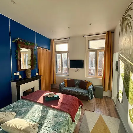 Apartment Le Terrazza - 1p A 2p Terrasse - Henriville *