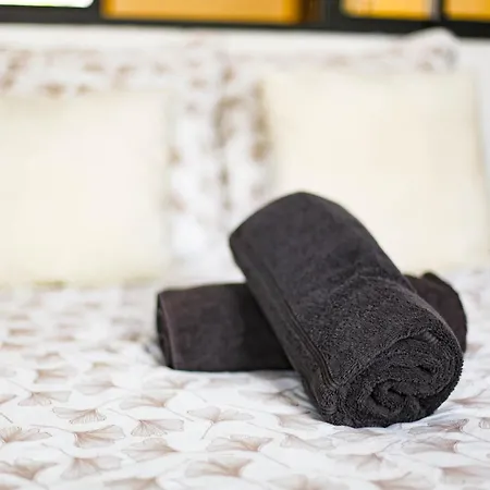 Le Terrazza - 1p A 2p Terrasse - Henriville